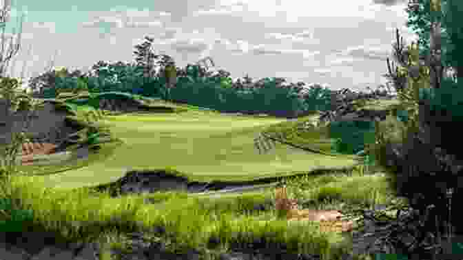 A Golfer Teeing Off At The Scenic Sand Valley Course, Surrounded By Towering Sand Dunes And Lush Fairways. Golf Sand Valley (Golf In Central Wisconsin 1)