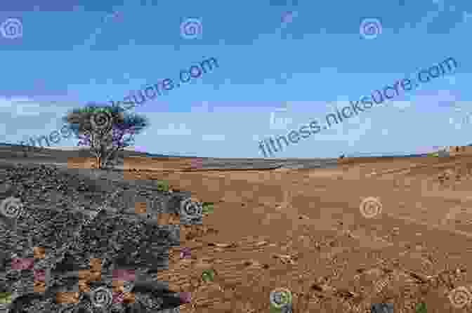 A Lone Car Driving Through The Vast Alcantara Dunes In Morocco Epic Drives Of The World (Lonely Planet)