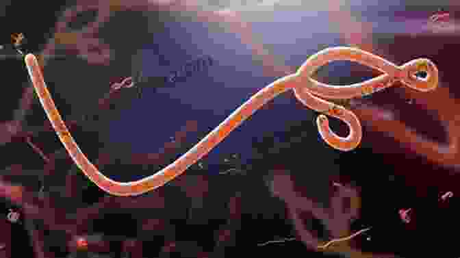 A Microscopic Image Of The Ebola Virus, A Deadly Pathogen That Has Caused Numerous Outbreaks In Africa The Hot Zone: The Terrifying True Story Of The Origins Of The Ebola Virus