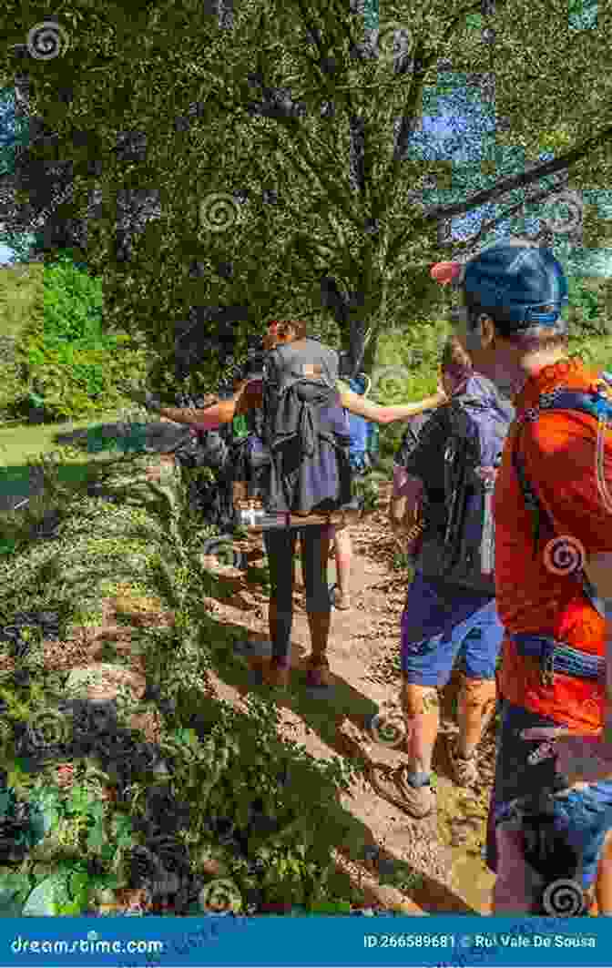 A Pilgrim Walking Along The Camino De Santiago, Surrounded By Lush Green Fields And Rolling Hills I M Off Then: Losing And Finding Myself On The Camino De Santiago