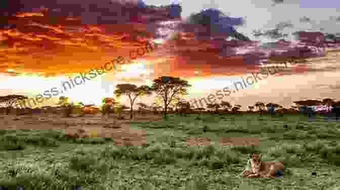 A Stunning Panorama Of The Serengeti Plains, Teeming With Wildlife. African Game Trails Theodore Roosevelt