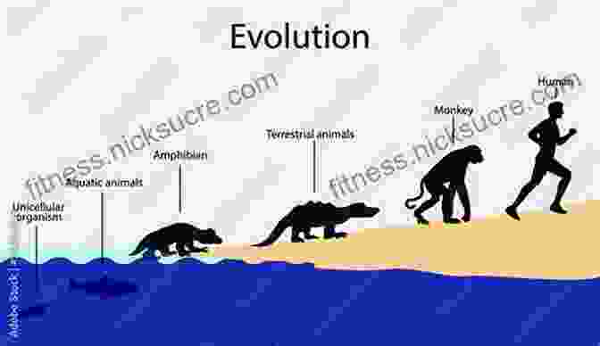 A Vibrant Illustration Depicting The Evolution Of Life From Single Celled Organisms To Complex Lifeforms At Home In The Universe: The Search For The Laws Of Self Organization And Complexity