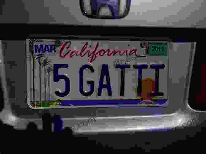 A Way Cool License Plate From California The Way Cool License Plate