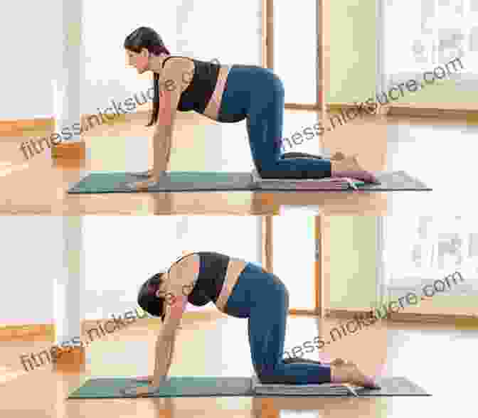 Cat Cow Pose Prenatal Yoga: Reference To Go: 50 Poses And Meditations