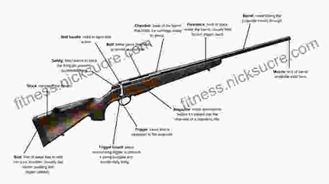 Diagram Of Rifle Components, Including The Action, Barrel, Stock, And Trigger. The Art Of The Rifle