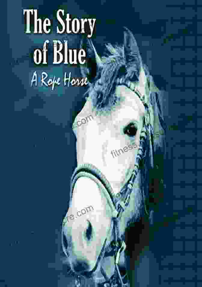 Echo, The Protagonist Of The Shine Trilogy, Is A Traumatized Rope Horse Who Embarks On A Journey Of Healing And Self Discovery. The Trials Of Joe Ben Black: Confessions Of A Rope Horse (Healing Shine Trilogy 2)