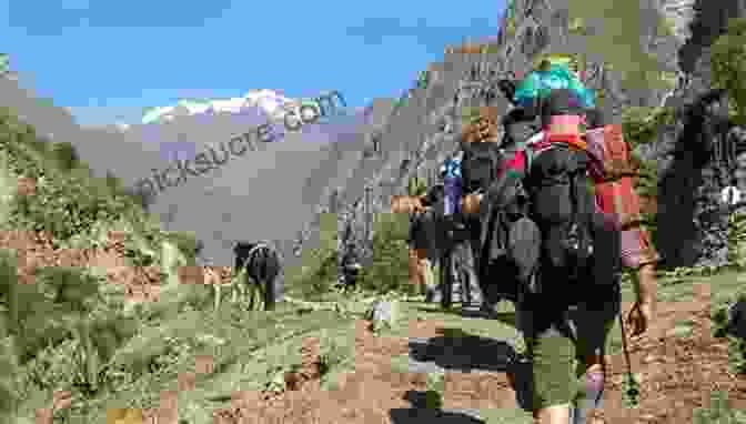 Hikers Traverse The Winding Inca Trail, Surrounded By Lush Vegetation Forgotten Tales And Vanished Trails