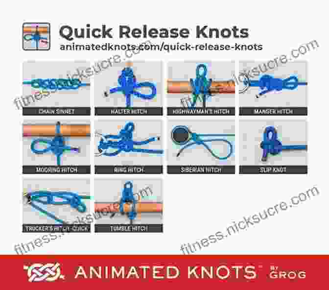 How To Tie A Quick Release Knot The Pocket Guide To Equine Knots: A Step By Step Guide To The Most Important Knots For Horse And Rider (Skyhorse Pocket Guides)