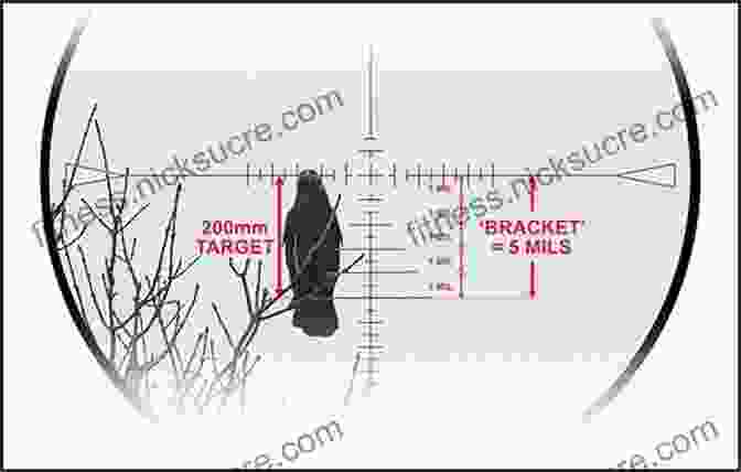 Image Of A Rifle Shooter Using A Rangefinder To Estimate Distance. The Art Of The Rifle