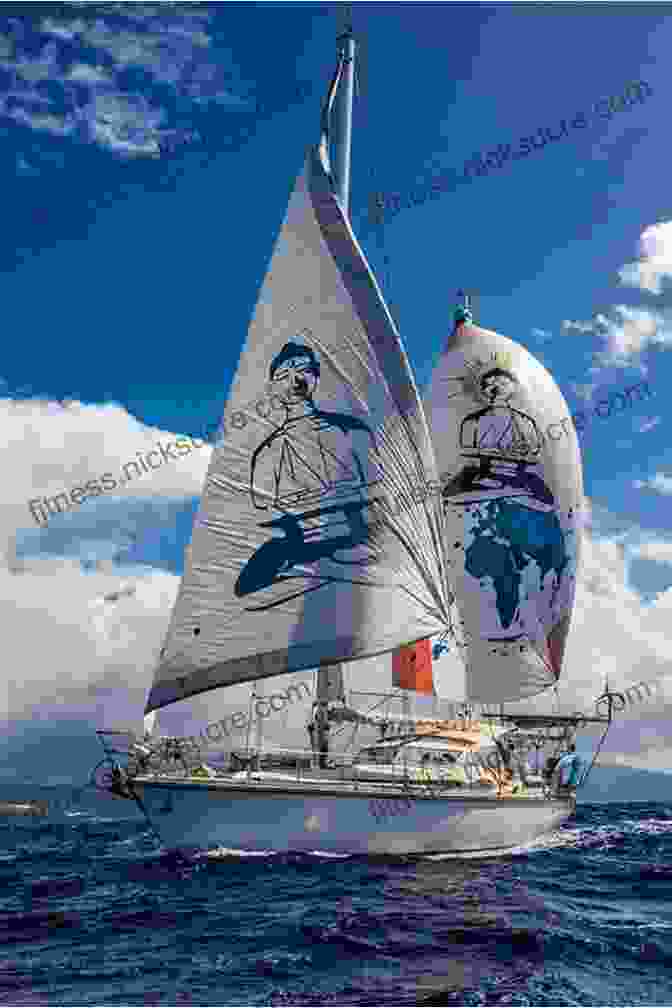 Jefe Sailing Across The Ocean No Turning Back: Jefe Sails Solo Non Stop Around The World