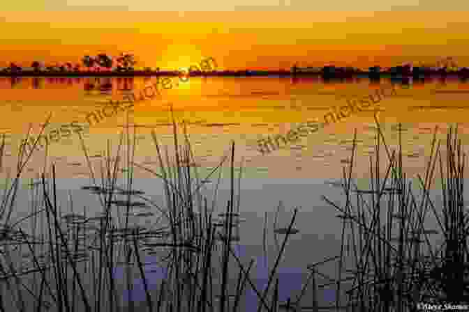 Okavango Delta Sunset Reflection African Game Trails With More Than 200 Photos : An Account Of The African Wanderings Of An American Hunter Naturalist