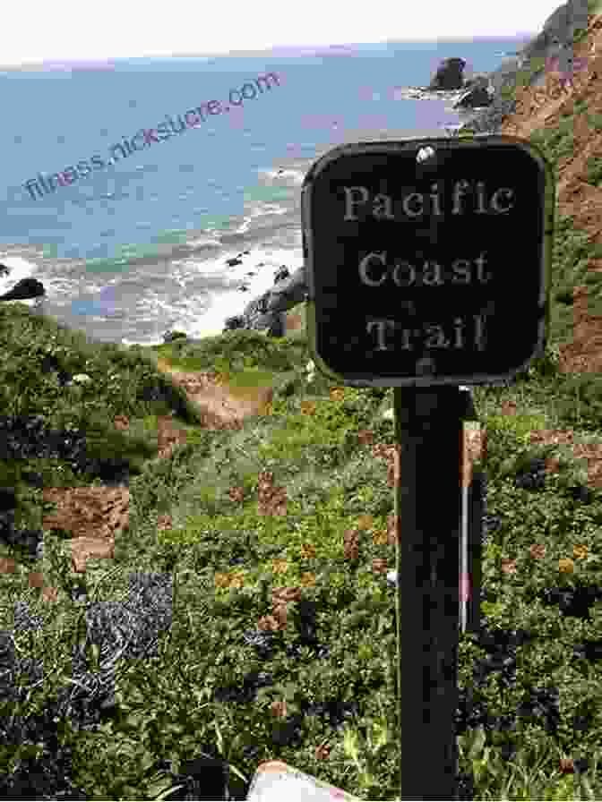 Pacific Coast Trail, An Iconic Hiking Trail Offering Stunning Coastal Views And Traversing Diverse Ecosystems Along The Pacific Ocean. Rail Trail Hall Of Fame: A Selection Of America S Premier Rail Trails