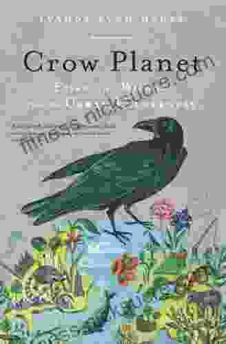 Crow Planet: Essential Wisdom From The Urban Wilderness