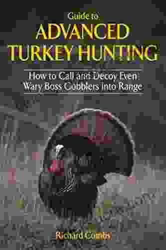 Guide To Advanced Turkey Hunting: How To Call And Decoy Even Wary Boss Gobblers Into Range
