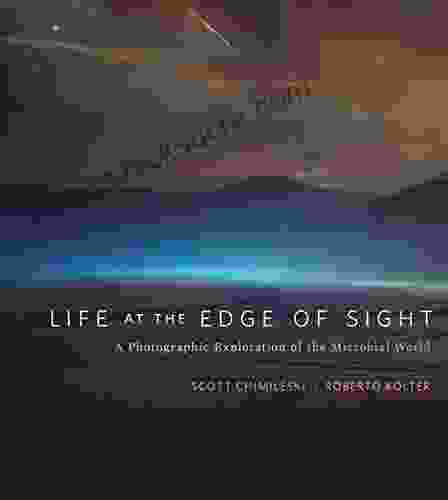 Life at the Edge of Sight: A Photographic Exploration of the Microbial World