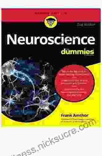 Neuroscience For Dummies Frank Amthor