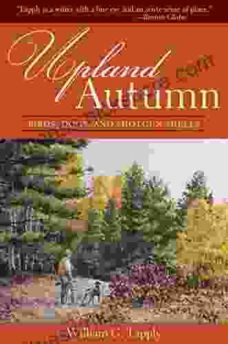 Upland Autumn: Birds Dogs And Shotgun Shells